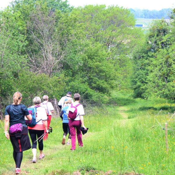 La marche des familles 13 Allingeoise