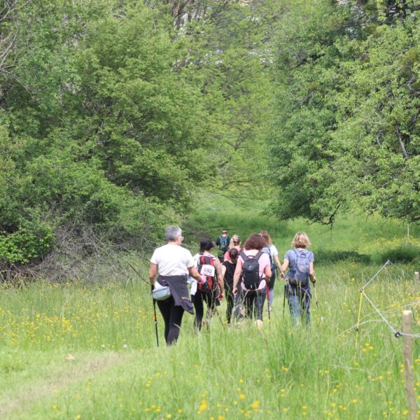 La marche des familles 11 Allingeoise