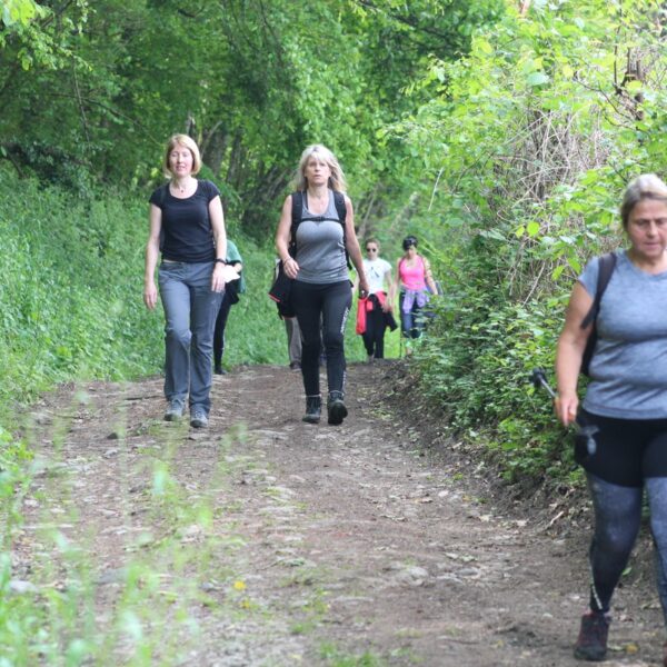 La marche des familles 10 Allingeoise